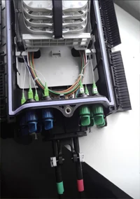 Fiber to the Home